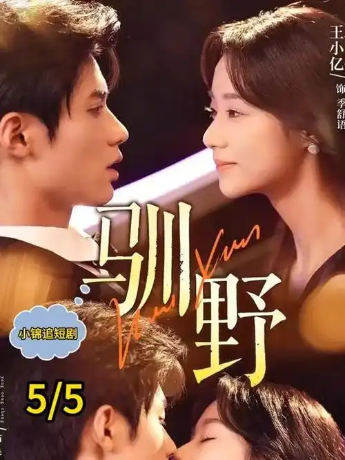 半城烟雨年代剧全集在线观看